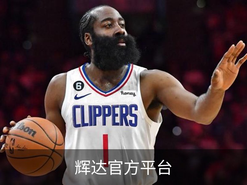 辉达官方平台概况
